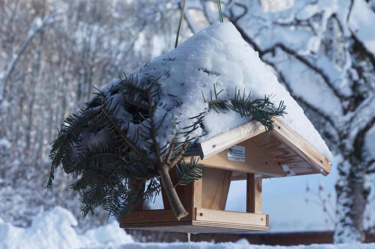 Haus Sonnenblick Hotel Байришцел Екстериор снимка